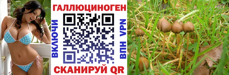 omg ONION  Северо-Курильск  Псилоцибиновые грибы Psilocybe 